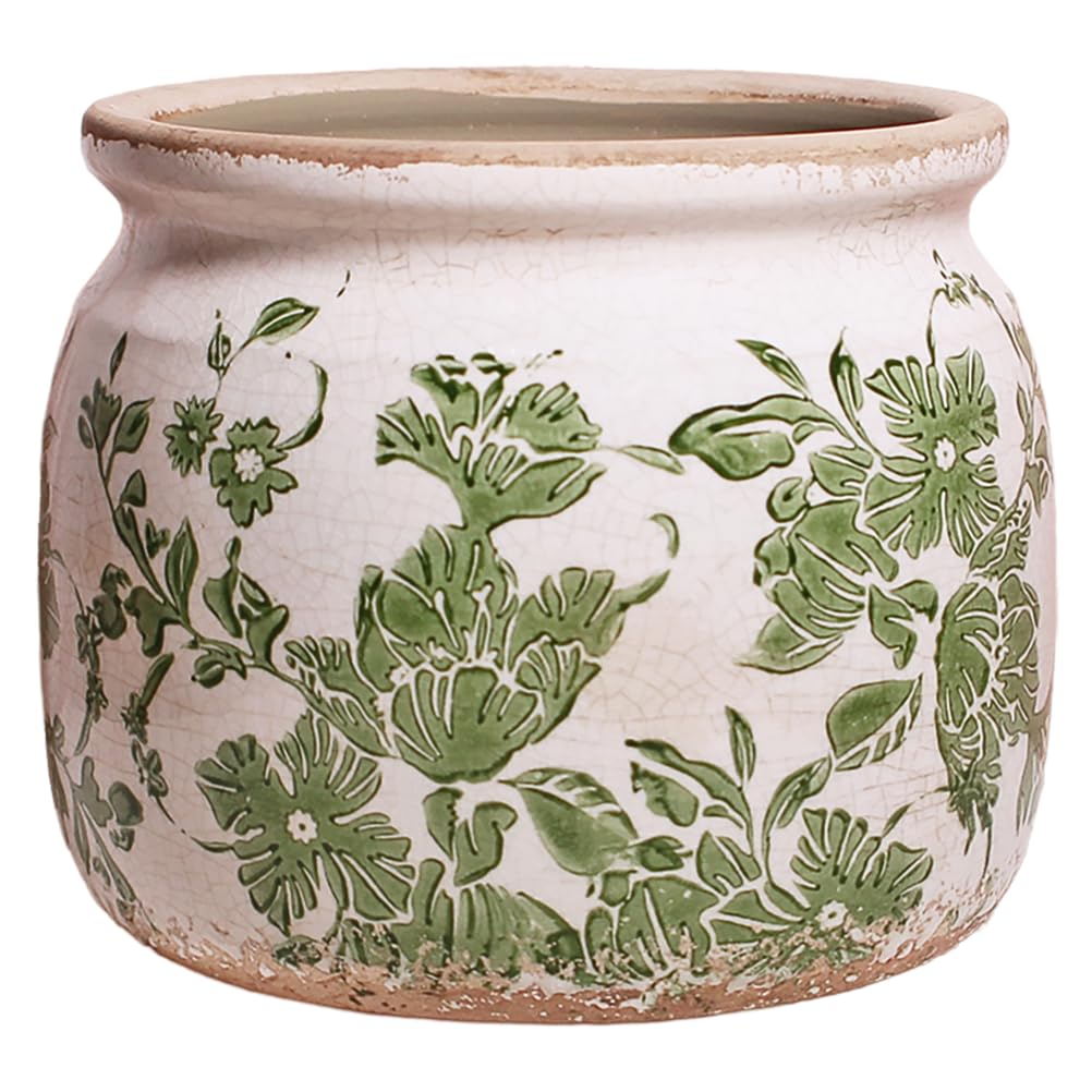 Xiaan Jiaju Planters Drainage Succulent