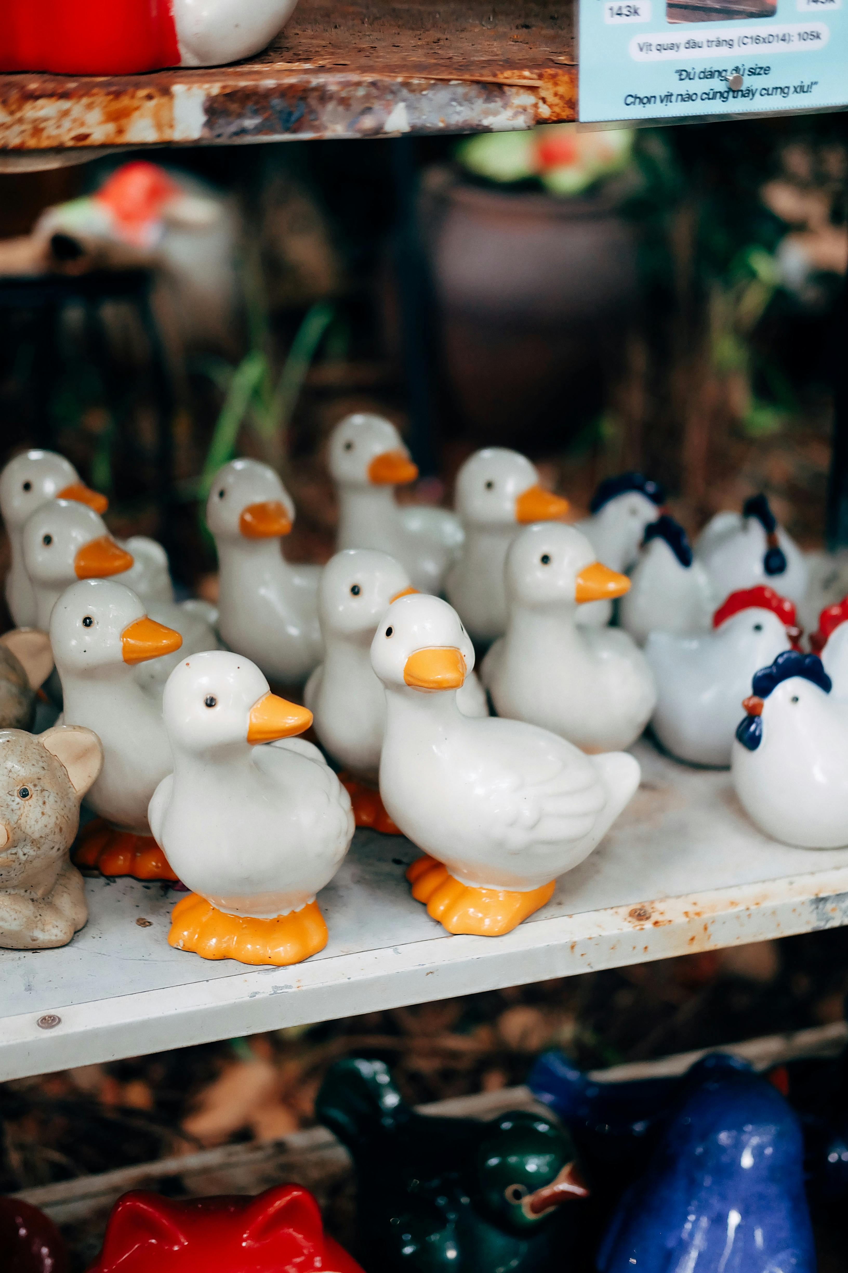 A charming collection of ceramic duck figures arranged on a rustic shelf.