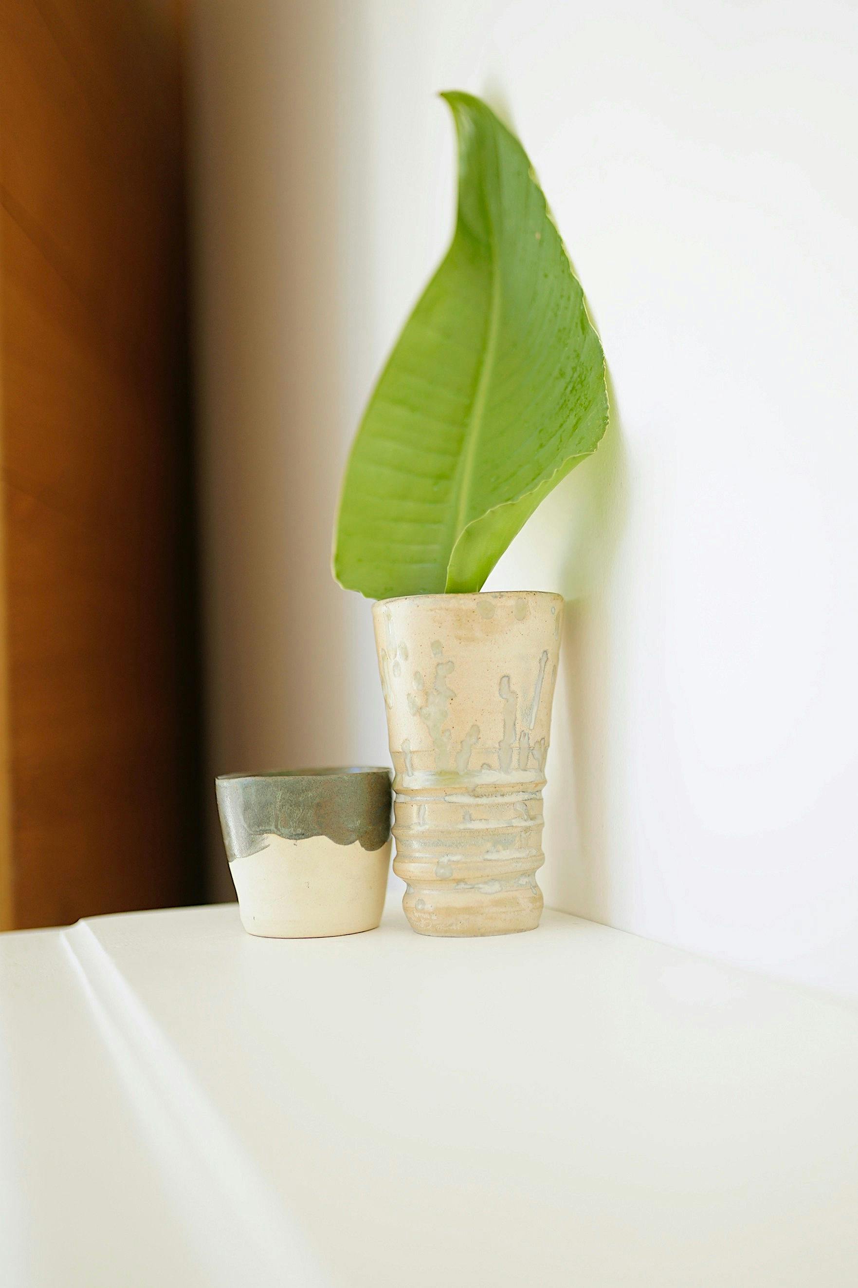 A simple, elegant arrangement of a single leaf in a ceramic vase on a white shelf.