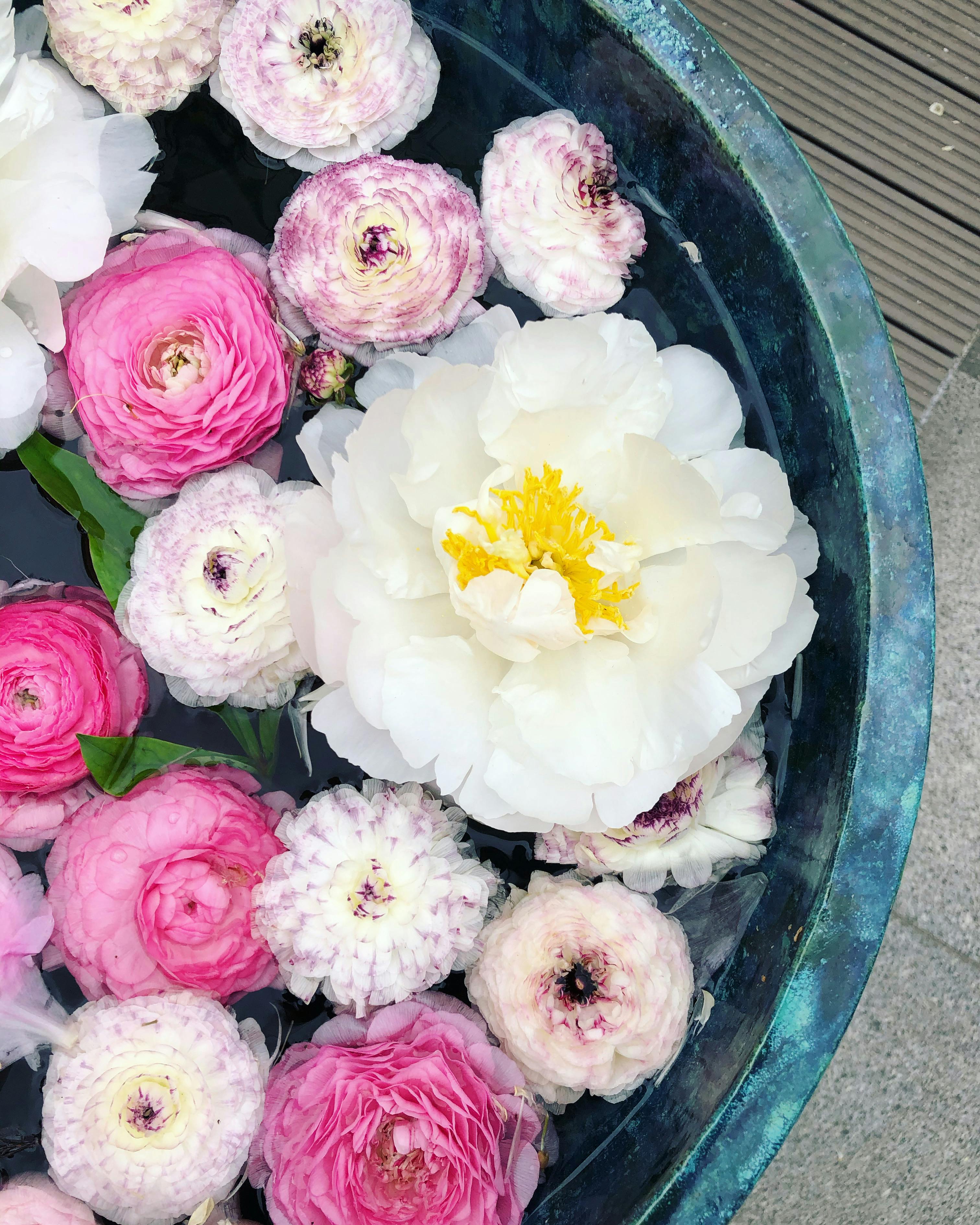 Close-up of colorful flowers floating in a ceramic bowl, showcasing elegance and beauty.