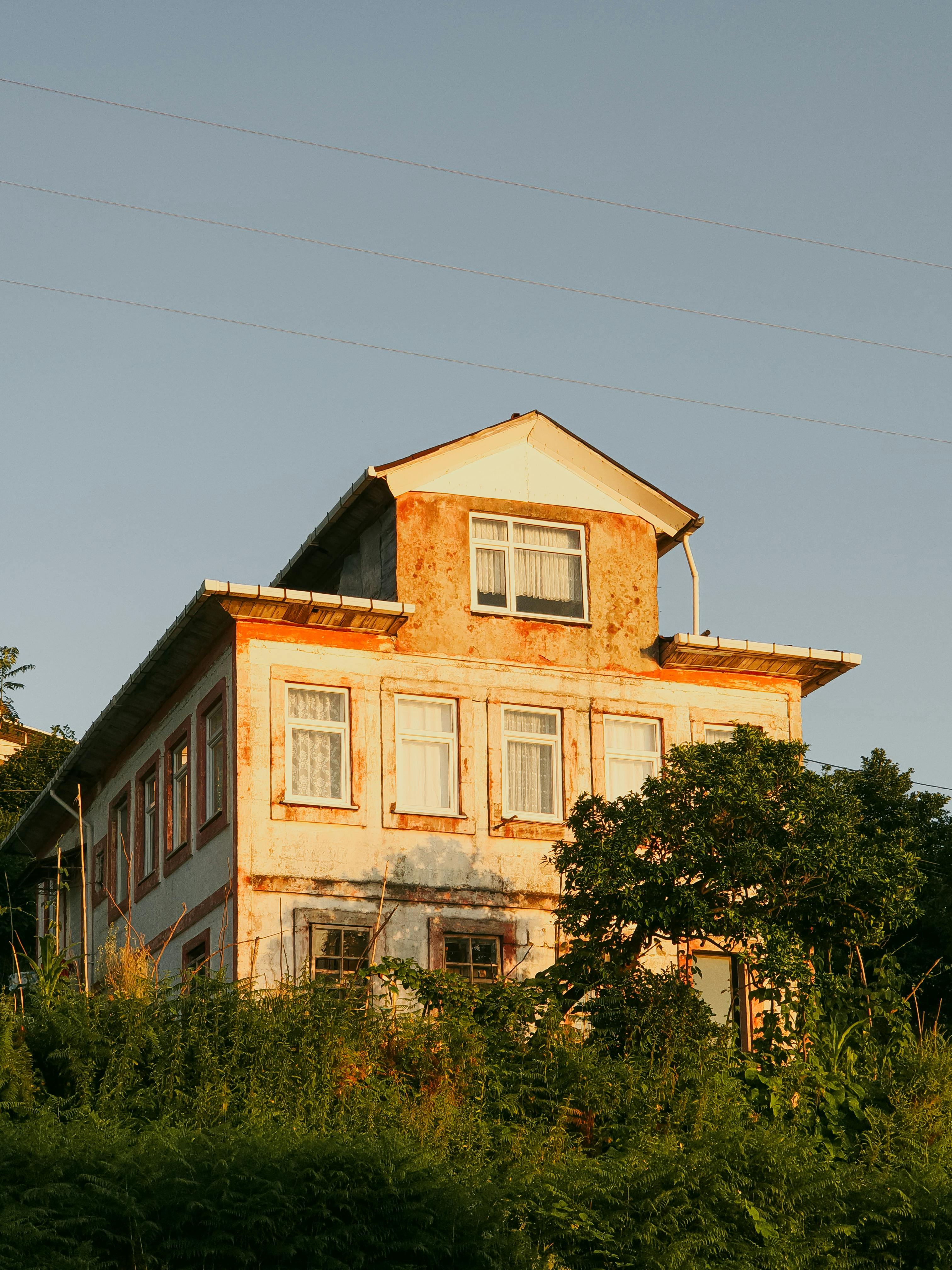 Charming rustic house in Rize, Türkiye, surrounded by lush greenery and bathed in golden sunlight.