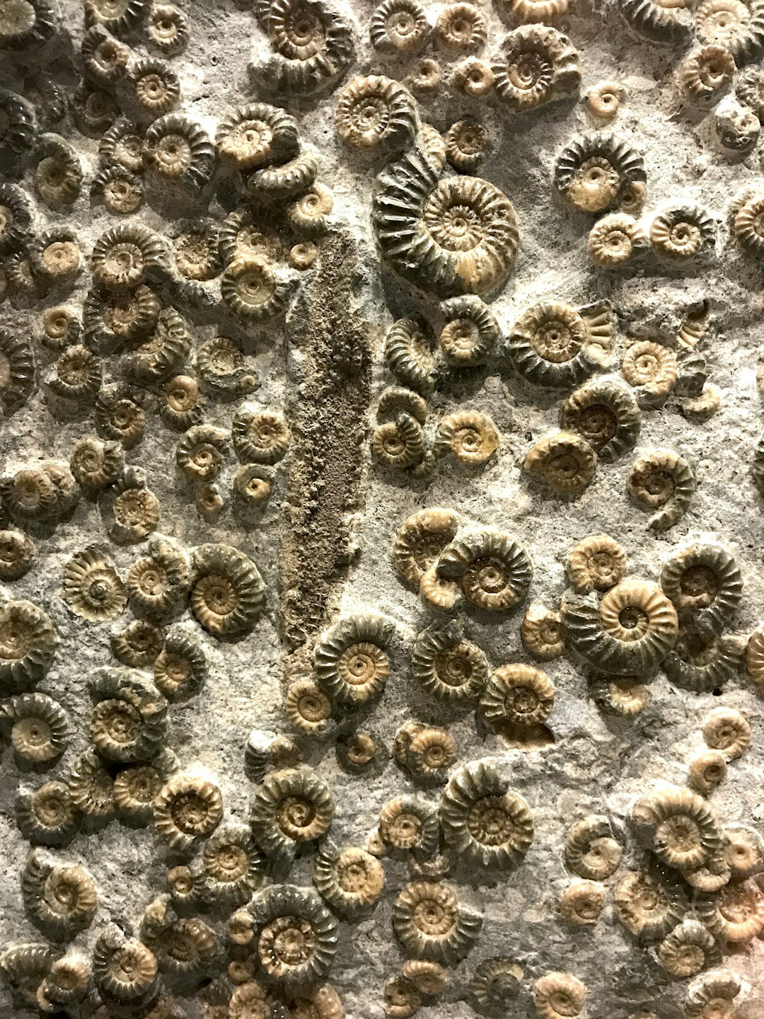 types of coils ceramics