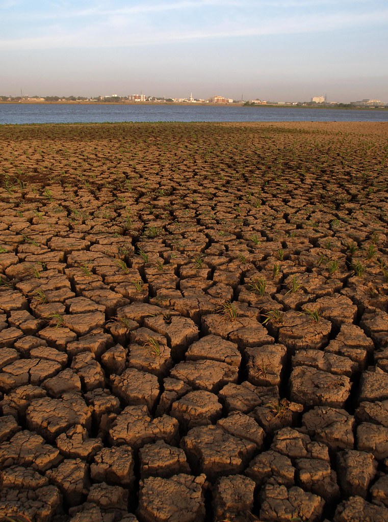 Parched soild