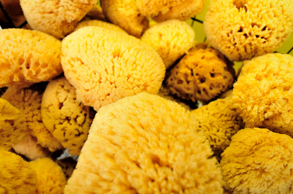 More sponges