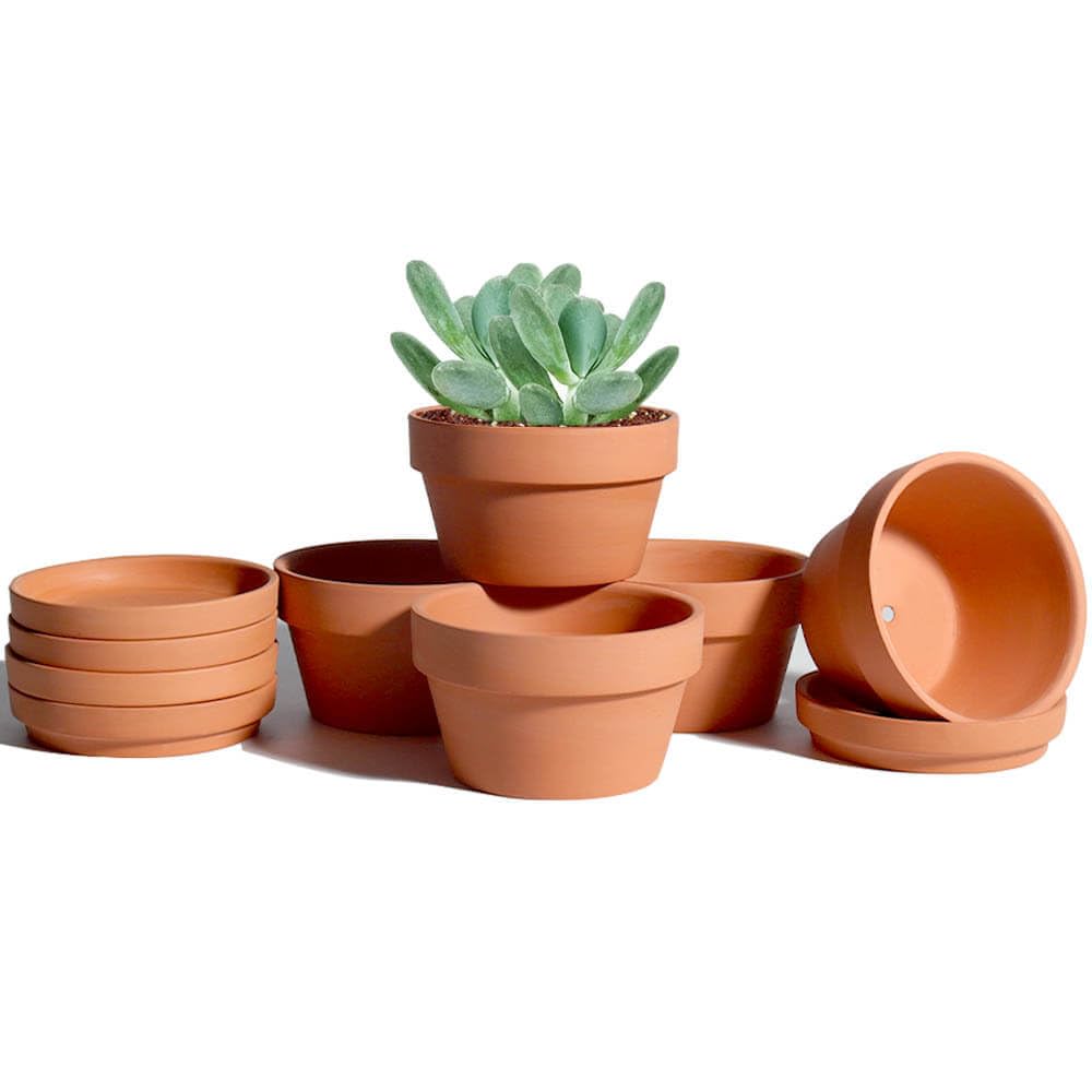 vensovo Inch Terracotta Shallow Succulent