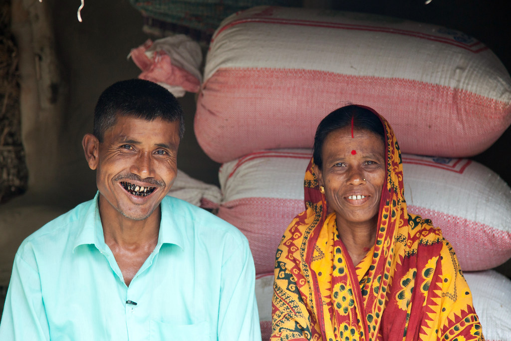 Training and better wheat turn Bangladeshi farmers into seed producers
