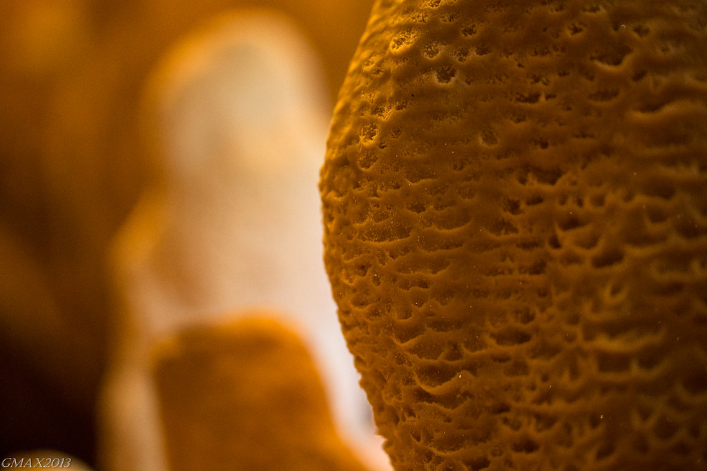Caves Rough surfaces