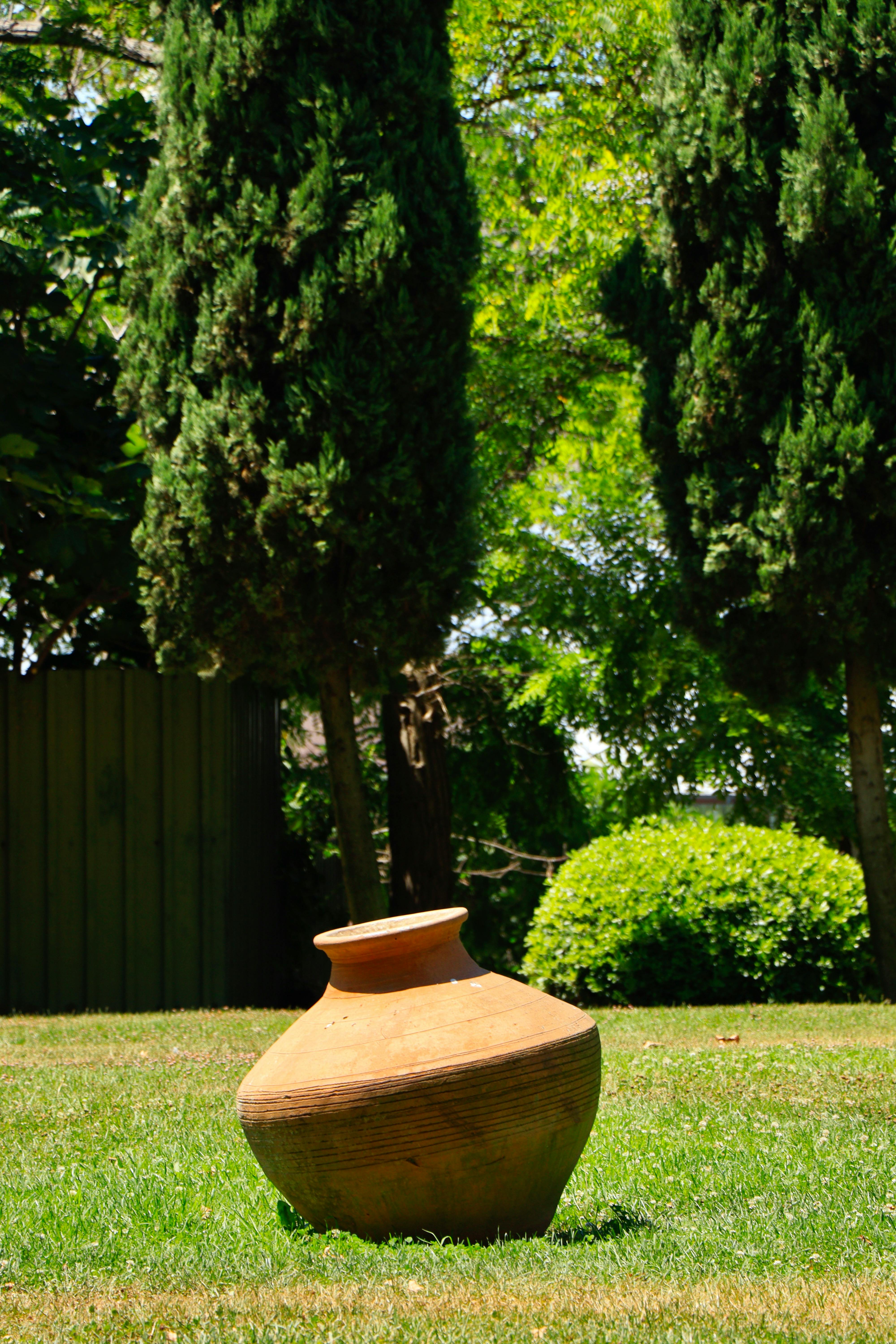 A rustic clay pot on grass surrounded by lush greenery and trees under bright sunlight.