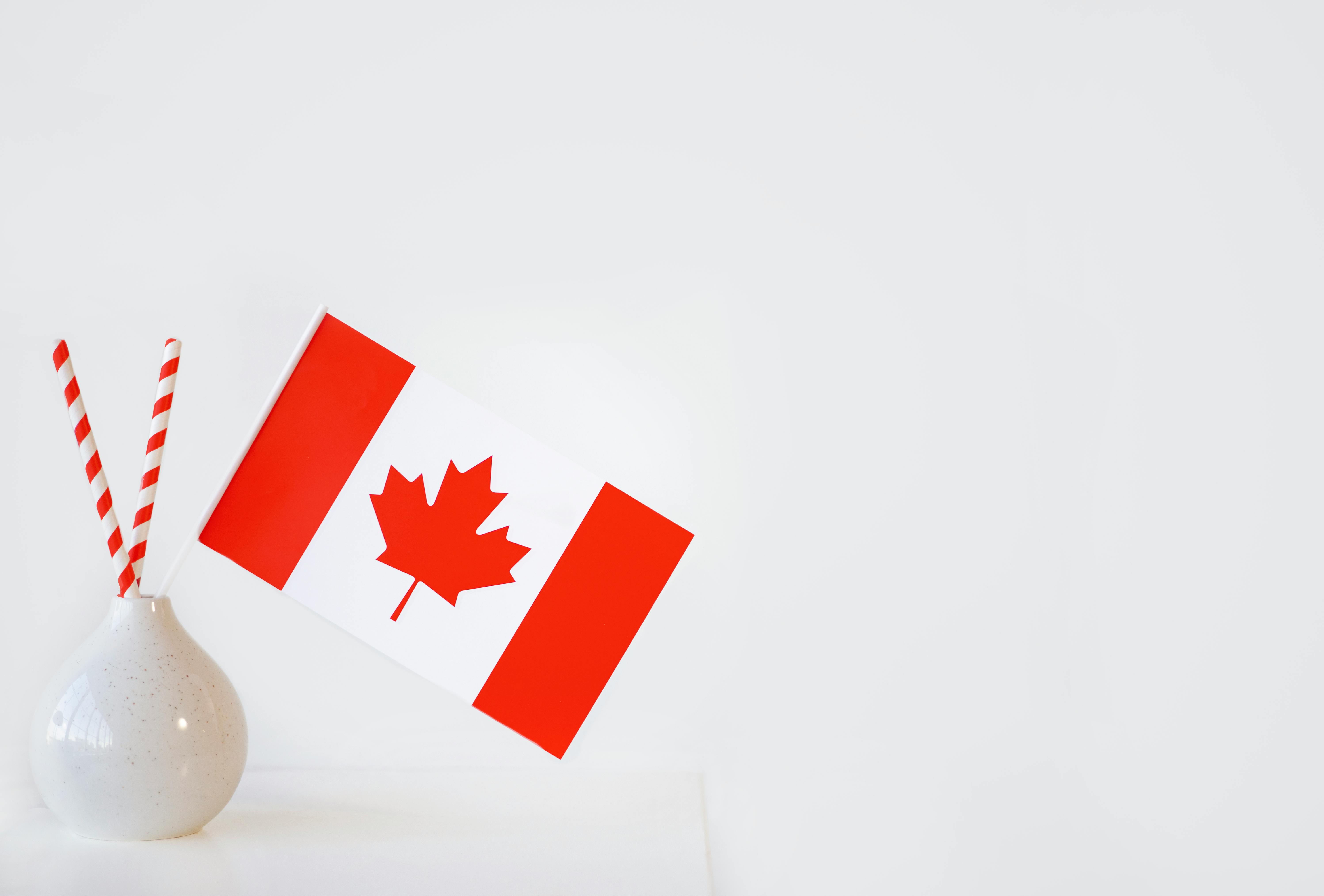 A Canadian flag displayed in a ceramic vase with striped straws on a white background.