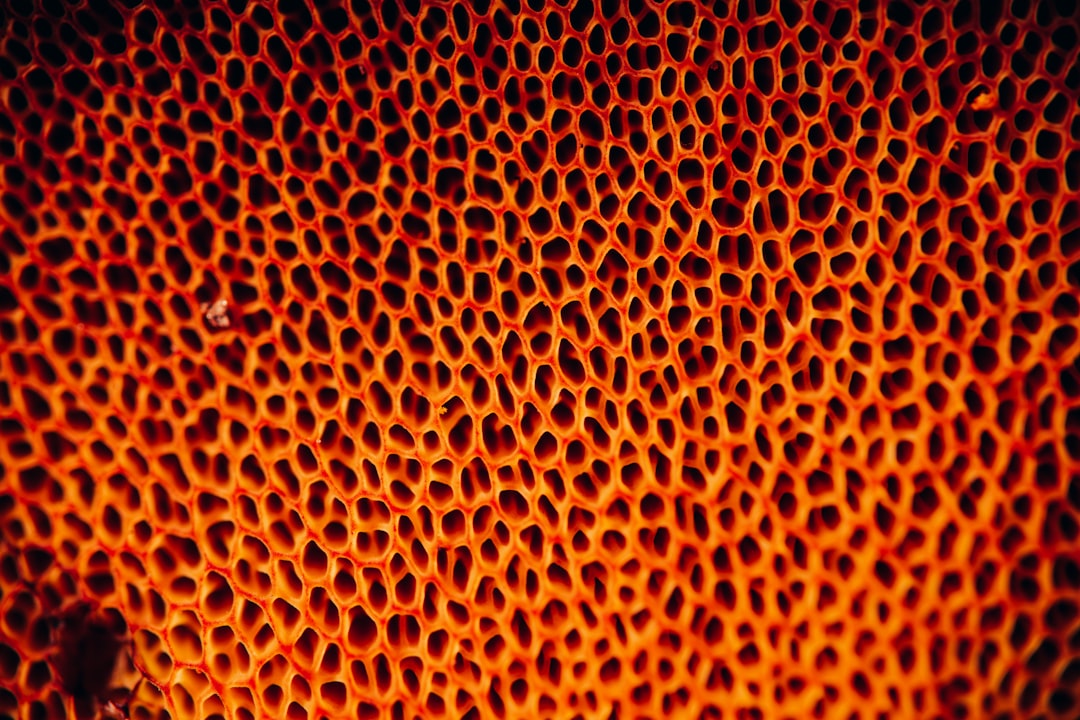 sponge glazing