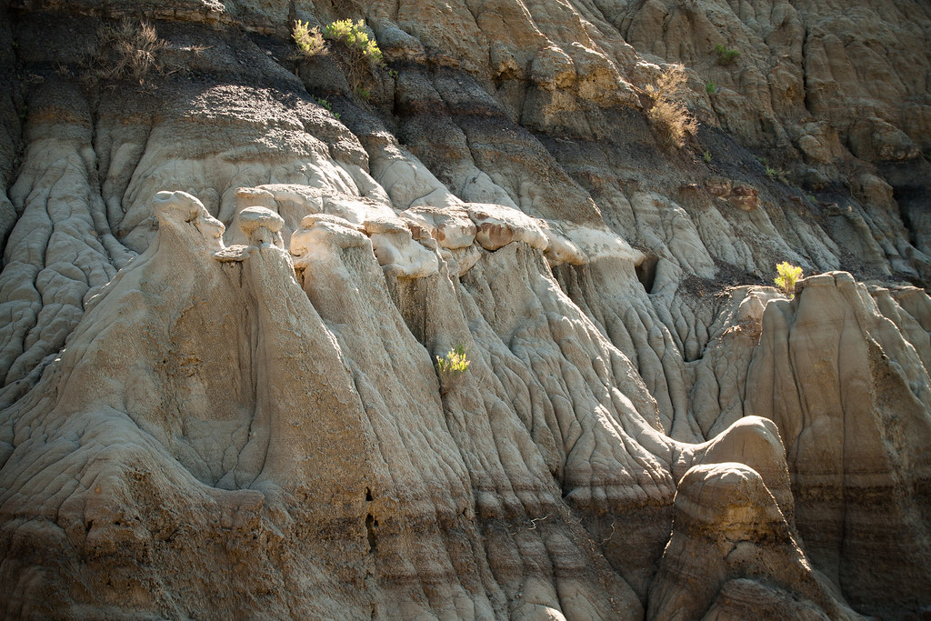 Clay Forms